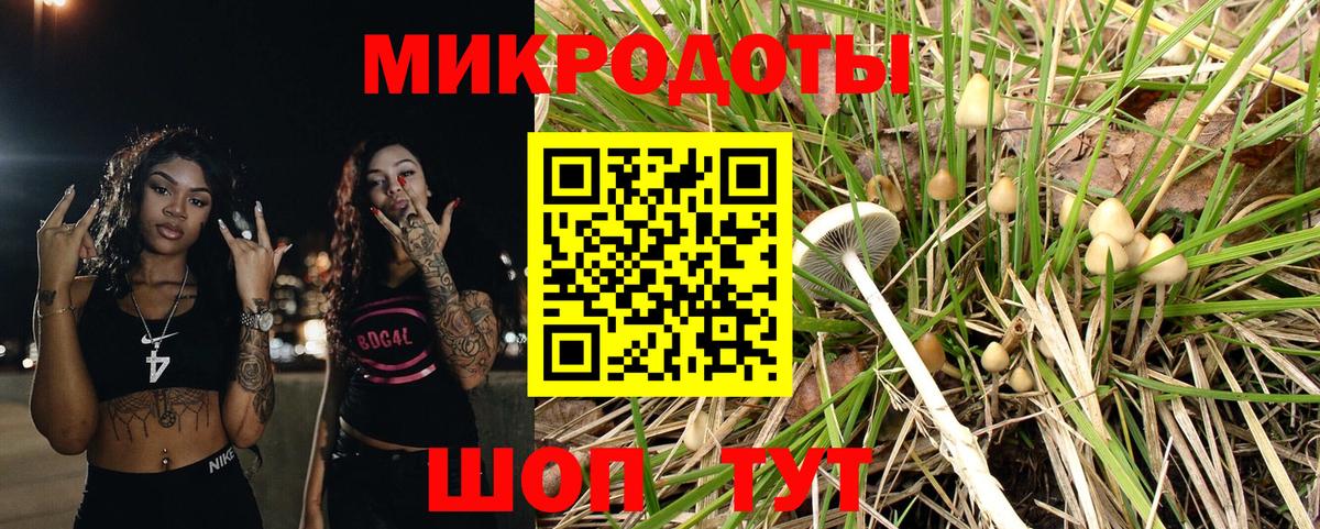 Псилоцибиновые грибы Psilocybine cubensis Дедовск