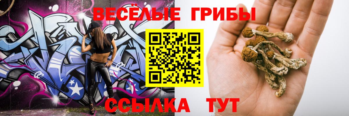 Дедовск  Псилоцибиновые грибы GOLDEN TEACHER  Вход с VPN 